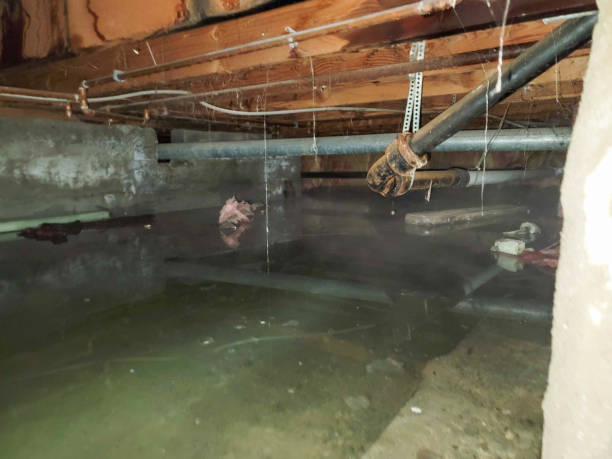 Best Fire Damage Restoration  in Seneca, KS