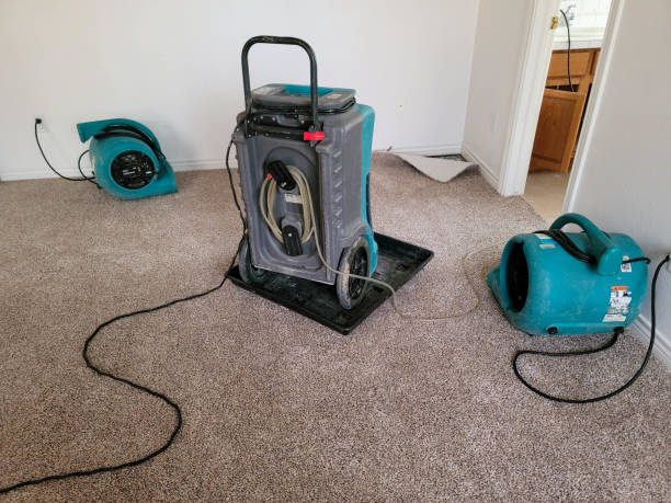 Water damage restoration mold remediation in KS