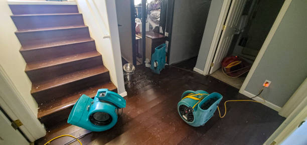 Best Sewage cleanup and water damage restoration  in Seneca, KS