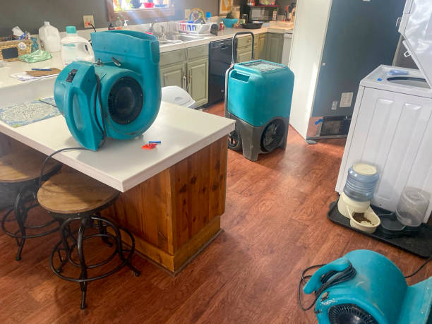Carpet water damage restoration in KS