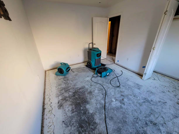  Seneca, KS Water damage restoration Pros