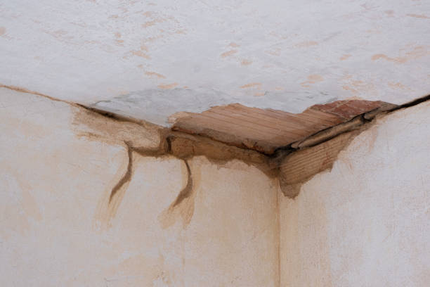 Best Water damage restoration near me  in Seneca, KS