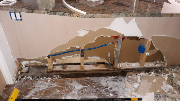 Best Ceiling water damage repair  in Seneca, KS