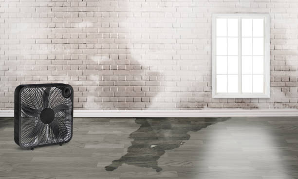 Trusted KS Water damage restoration Experts