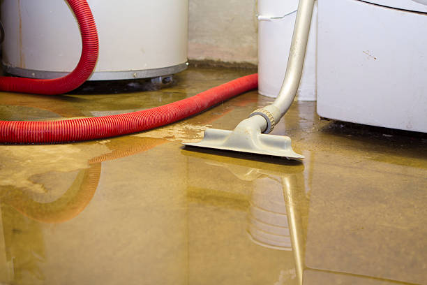Best Water damage restoration company  in Seneca, KS